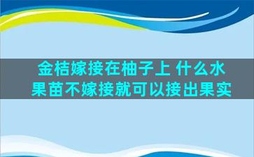 金桔嫁接在柚子上 什么水果苗不嫁接就可以接出果实